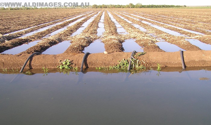 678x394 pixels (166K)